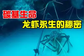 龙虾真的可以永生吗？同为碳基生命的人类，为何却不行？视频封面