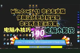 Windows 11 中文专业版，使用汉化包轻松实现中文界面显示效果