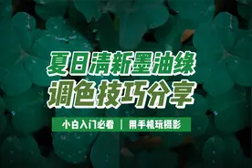 小白入门必看：教你用手机给照片做夏日清新墨油绿色调，超级简单