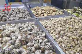 有毒！这种海鲜谨慎食用视频封面