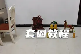 套圈高手秘籍教程小技巧