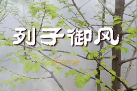 调理肝胆 |《列子御风》道家古琴曲 飘飘洒洒，御风而行 轻快飘然视频封面