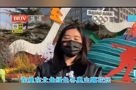 绿色冬奥元素“绿色冬奥”花坛亮相长安街，吸引市民打卡拍照视频封面