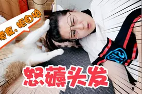 铲屎官外出7天归来，一进家门就要和猫咪自拍，蠢萌猫咪竟然怒了视频封面