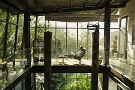 杨柏林：蕨知苑