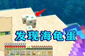 我的世界197：找到海龟蛋了！用精准采集挖回家，希望孵化成功！