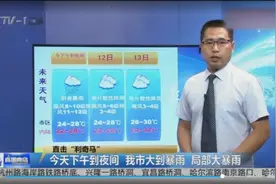 阵风11级！青岛最新天气预报：全市大降温，局部大暴雨