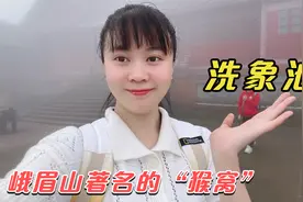峨眉山著名猴窝“洗象池”，爬了1500个阶梯才到，能看到猴子吗视频封面
