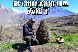 胡子多才多艺，用藤条就能编织抓鱼大篓子，收获丰富