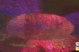 实拍昆明花之城4D穹顶巨幕电影，你绝对没看过，太有视觉冲击力了视频封面