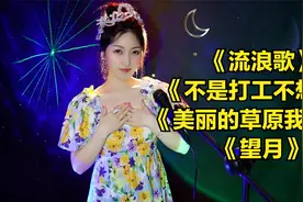 00年流行老歌《流浪歌》《不是打工不想家》《美丽的草原我的家》