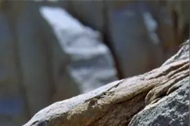 【纪录片】地球无限-奇幻沙漠（下）【1080P】视频封面