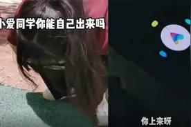 大学生迷惑行为？女生手机掉下水道呼叫小爱同学，一句话逗乐网友视频封面