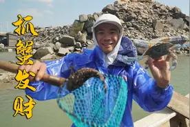 阿烽出海收石头网发财了，兰花蟹一直连着中货，仔细算能卖上千块视频封面