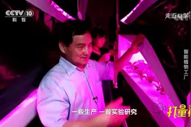 无需阳光和土壤，在南极也能种出蔬菜？来看植物工厂|走近科学视频封面