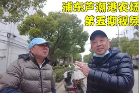 上海浦东动迁，拆1赔1.3，部分房子有额外30万补贴，性价比如何视频封面