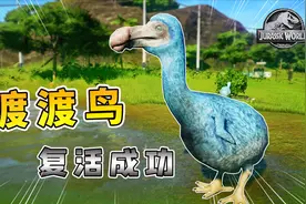 侏罗纪世界04：成功复活渡渡鸟，著名的鸟类明星，200年前刚灭绝视频封面