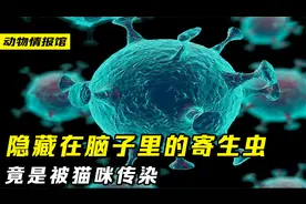 史上最狠寄生虫，不知不觉间钻入你的脑子，甚至还能改变你的思维视频封面