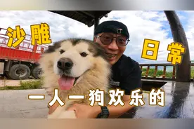 主人带狗狗散步，蠢萌狗狗兴奋的狂跑，结果意外弄伤主人脚踝视频封面