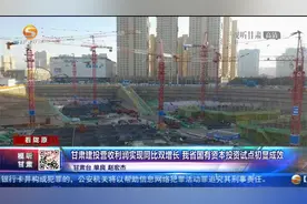 甘肃建投营收利润实现同比双增长 我省国有资本投资试点初显成效视频封面