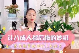 冬天莲花竹黄叶子放铁钉真的有用吗？十个人放了，八个人说后悔！视频封面