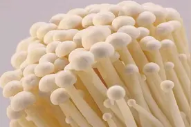 金针菇的根别丢了，放在水里几天长出新鲜菇，省钱又实用！视频封面