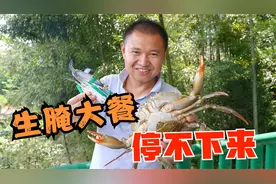 小伙第一次用活海鲜做生腌，号称“潮汕毒药”，一口下去口感奇妙视频封面