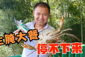 小伙第一次用活海鲜做生腌，号称“潮汕毒药”，一口下去口感奇妙视频封面