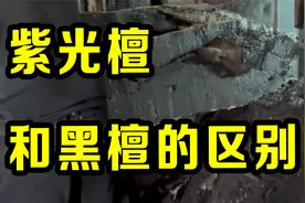 紫光檀和黑檀的区别，两者谁好谁坏？这样一对比，明明白白了！视频封面
