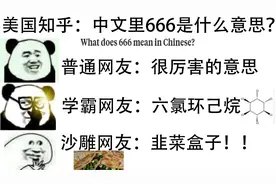 美国知乎：中文里“666”是什么意思？沙雕网友：韭菜盒子！视频封面