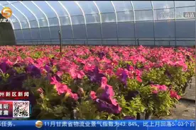 兰州新区秦川园区：打造特色现代农业产业基地视频封面
