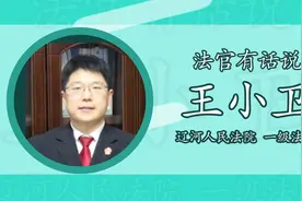 315，听听辽河法官“以案说法” 遇到货不对板时 拿起法律去维权视频封面