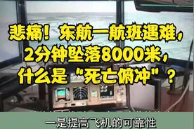 悲痛！东航一航班遇难，2分钟坠落8000米，什么是“死亡俯冲”？视频封面