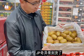 4月1日第一批新西兰奇异果到货，现在还不是口感正当时，需等等视频封面