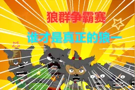 狼群争霸，谁才是真正的狼一，只有团结！