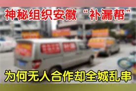神秘组织安徽“补漏帮”，遭众人抵制却全城乱串，揭秘真实目的视频封面