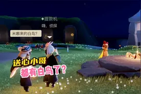 光遇：送心小哥都有白鸟了？用白鸟送心真奢侈！视频封面