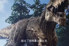 史前巨兽巨齿鲨，一颗牙齿有21厘米，和大白鲨到底有什么关系？视频封面