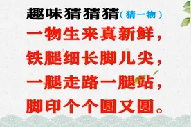 “一物生来真新鲜，铁腿细长脚儿尖”此为何物？视频封面
