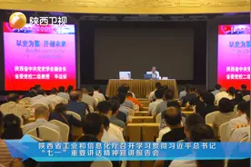陕西省工信厅：学习贯彻习近平总书记“七一”重要讲话精神视频封面