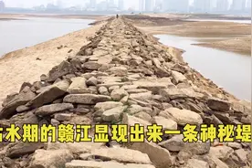 枯水期的南昌赣江,显现出来了一条神秘堤坝,你知道它是干什么的吗