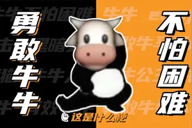 这是什么梗：勇敢牛牛，不怕困难！！视频封面