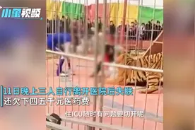 山西老虎咬人事件：3名伤者病情严重欠费失联，医生表示赶紧就诊视频封面