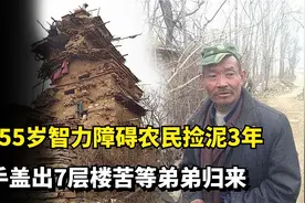 山东55岁智力障碍农民捡泥3年，徒手盖出7层楼，苦等弟弟归来视频封面