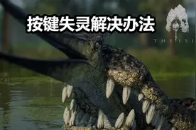 按键失灵解决方案，恐龙岛测试服正式服通用解决办法