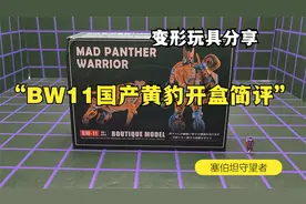 BW11黄豹开盒把玩分享，这次的国产还不错！视频封面