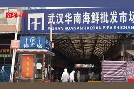 华南海鲜市场展开新一轮消毒清理，市场仍有人住，已送酒店隔离视频封面