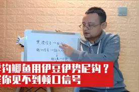 冬季钓鲫鱼还在用伊豆、伊势尼钩？难怪你见不到顿口信号视频封面