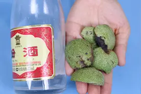 青核桃皮放白酒里泡一泡，用途厉害了，省钱又实用，回家试试
