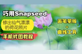 仙气飘飘的荷花照怎么修？巧用Snapseed蒙版与曲线工具轻松搞定视频封面